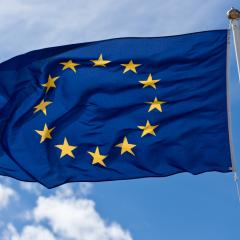 EU flag